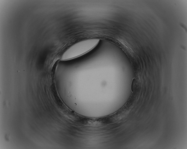 X0000093420311200710120902