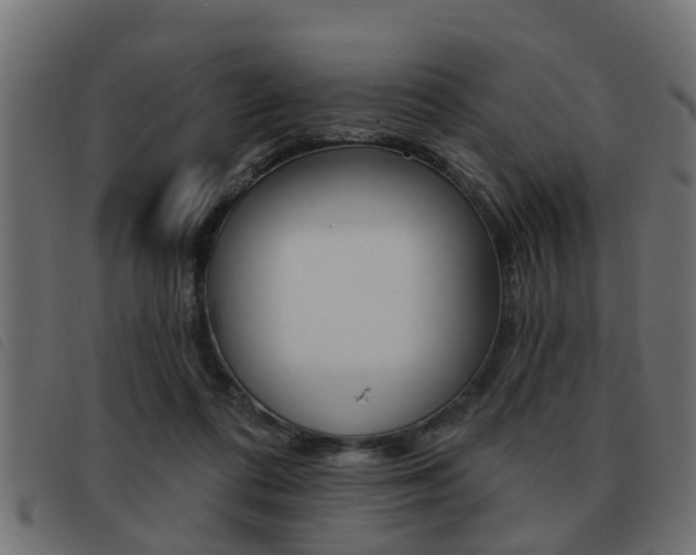 X0000093420312200710120902