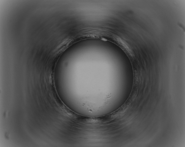 X0000093420313200710120902