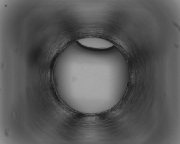 X0000093420314200710120902