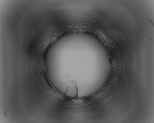 X0000093420318200710120902