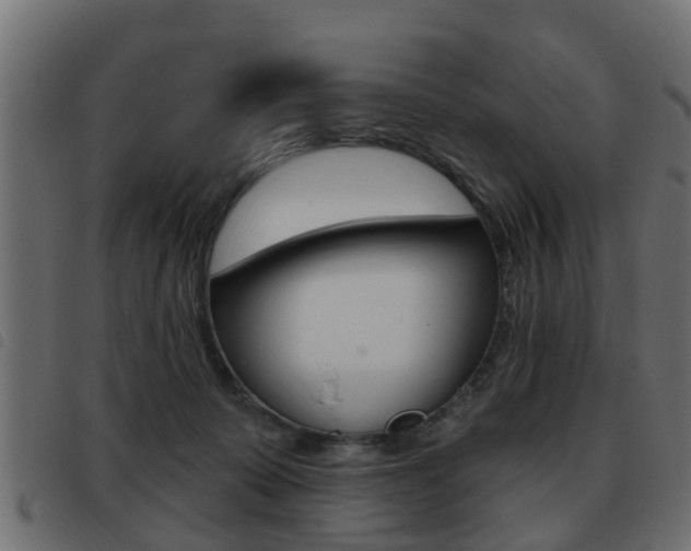 X0000093420319200710120902