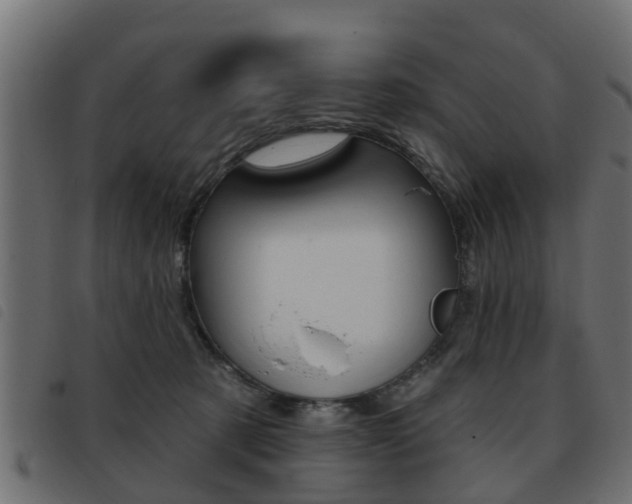 X0000093420321200710120902