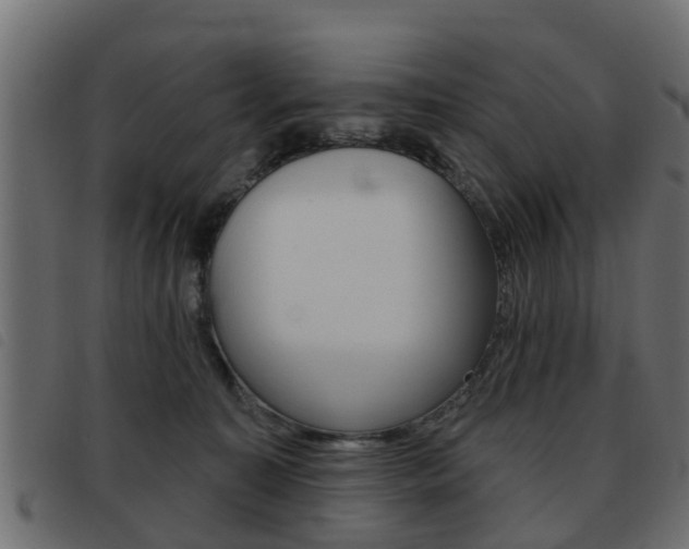 X0000093420323200710120902