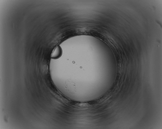 X0000093420324200710120902