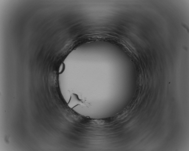X0000093420328200710120902