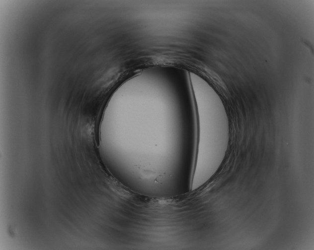 X0000093420329200710120902