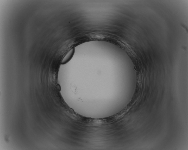 X0000093420330200710120902