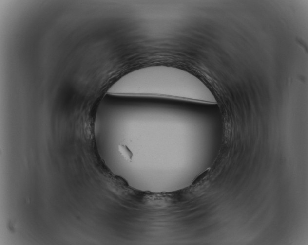 X0000093420331200710120902