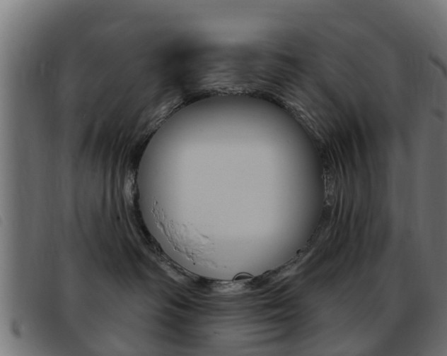X0000093420334200710120902