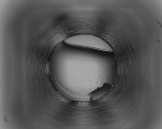 X0000093420335200710120902