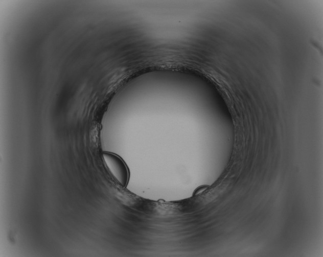X0000093420336200710120902
