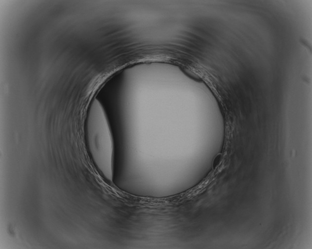 X0000093420337200710120901