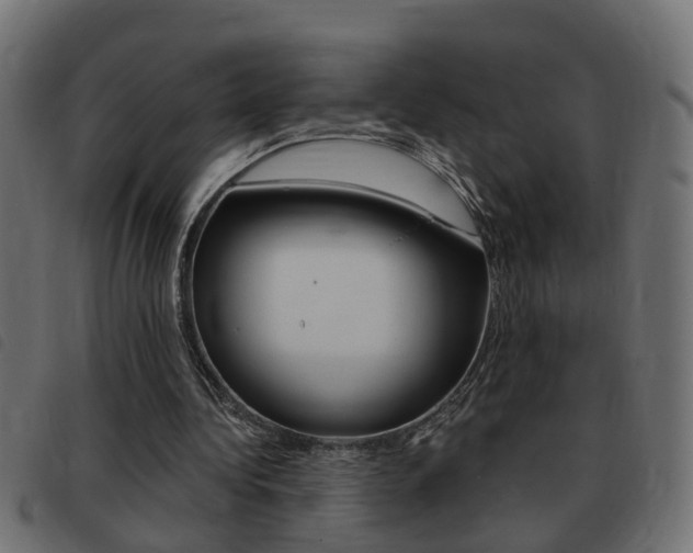 X0000093420340200710120901