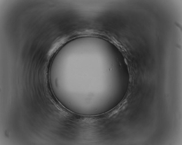 X0000093420341200710120901