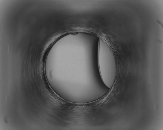 X0000093420342200710120901
