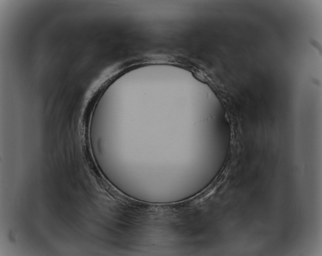 X0000093420343200710120901