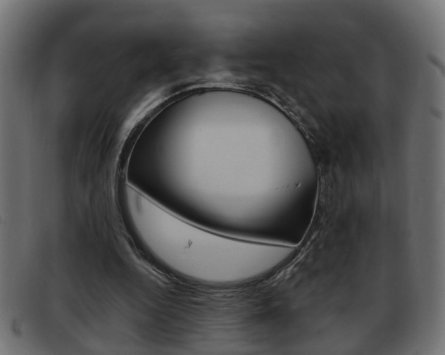 X0000093420344200710120901
