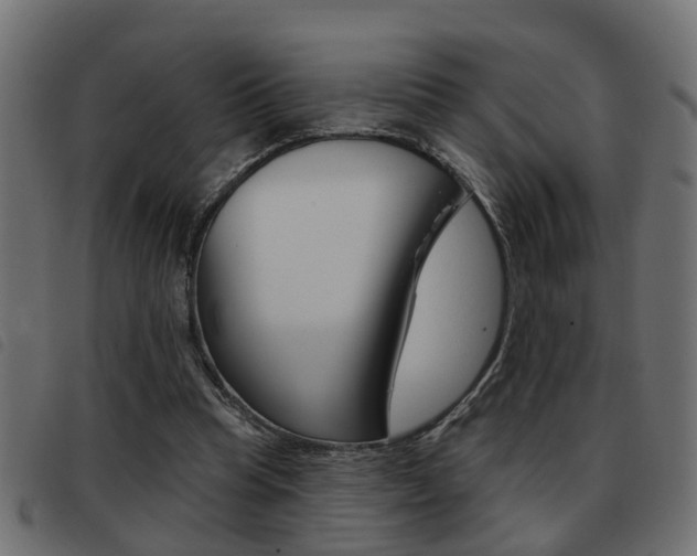 X0000093420345200710120901