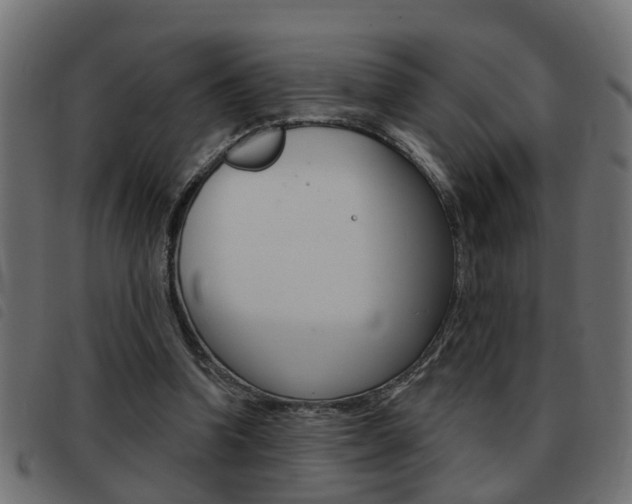 X0000093420346200710120901