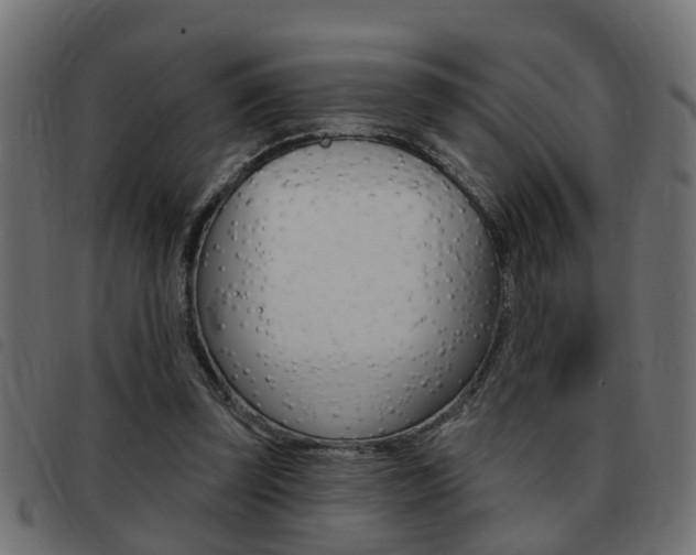 X0000093420347200710120901