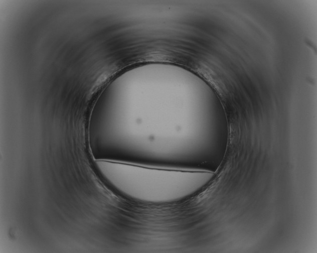 X0000093420349200710120901