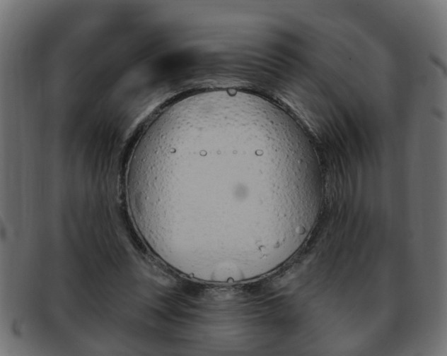 X0000093420351200710120901
