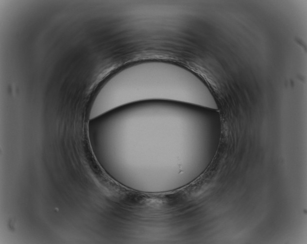 X0000093420352200710120901