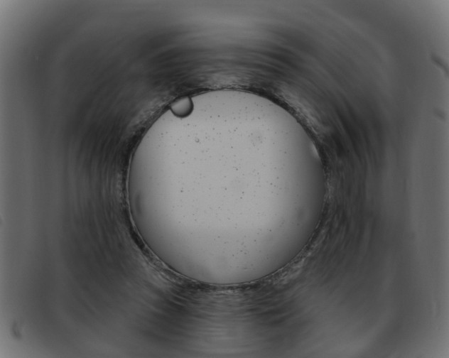 X0000093420353200710120901