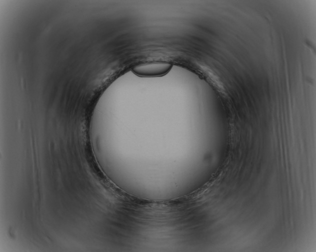 X0000093420354200710120901