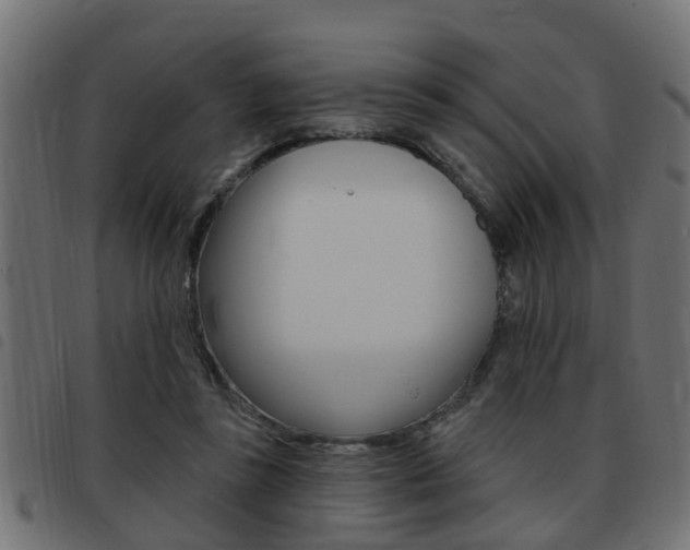 X0000093420355200710120901
