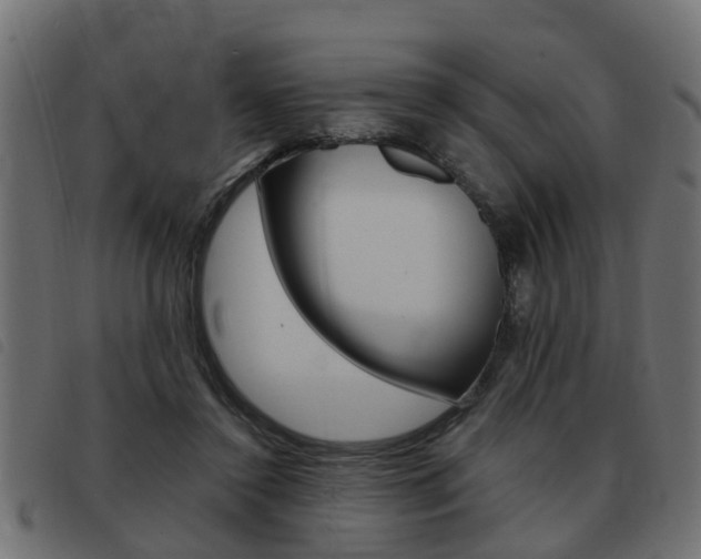 X0000093420356200710120901
