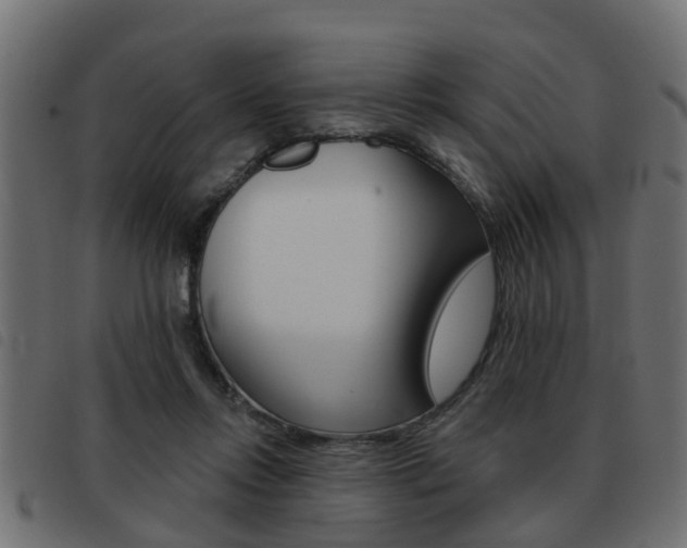 X0000093420358200710120901