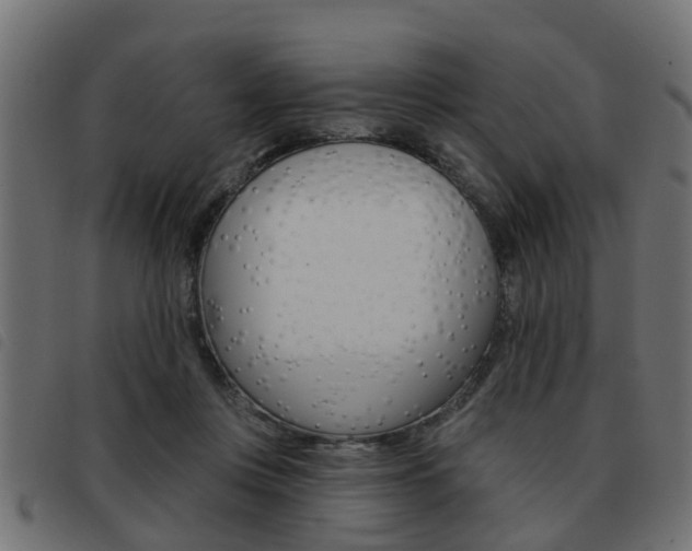 X0000093420359200710120901