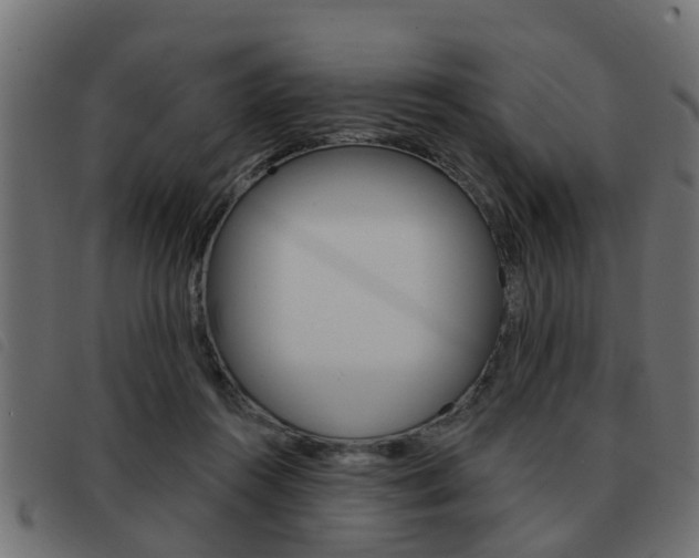 X0000093420360200710120901