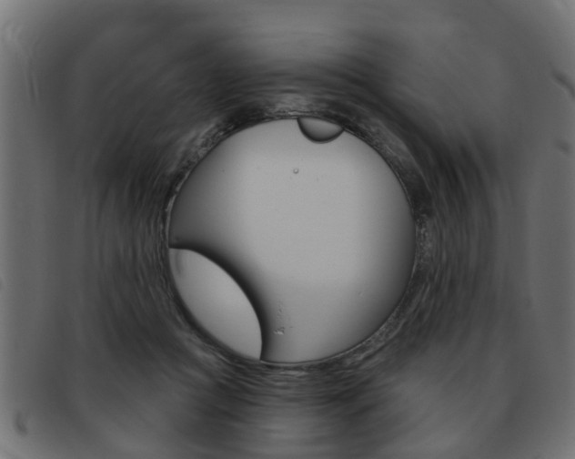 X0000093420361200710120901