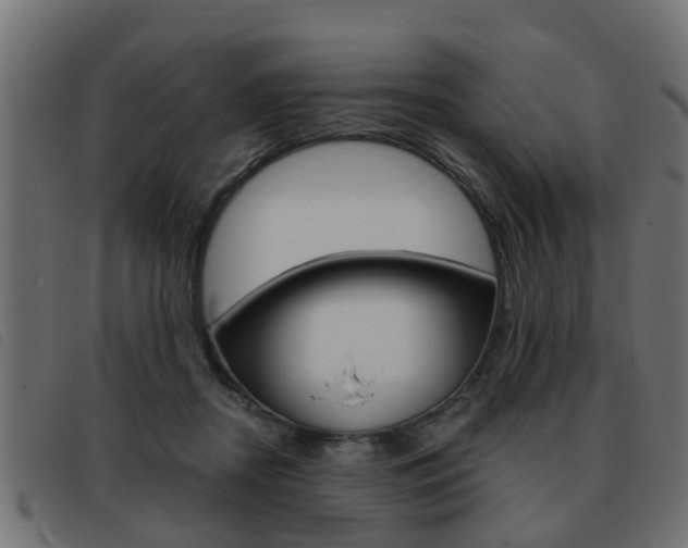X0000093420362200710120901