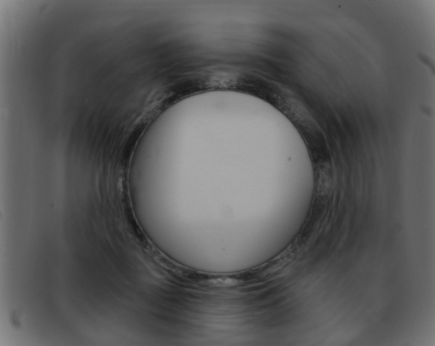 X0000093420363200710120901