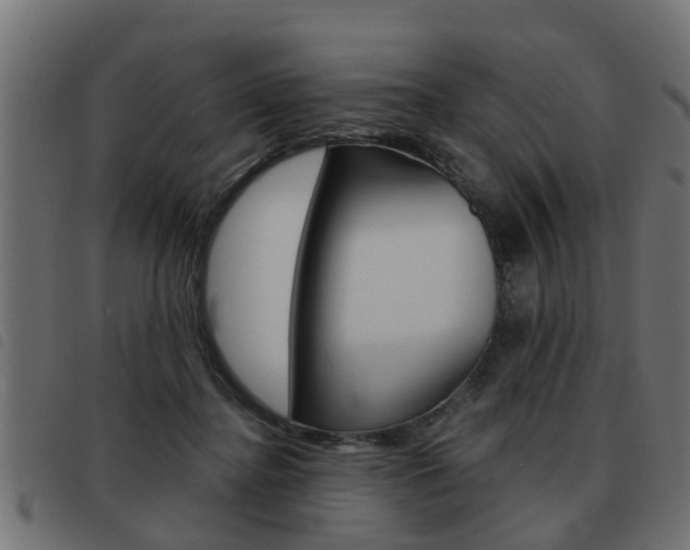 X0000093420364200710120901