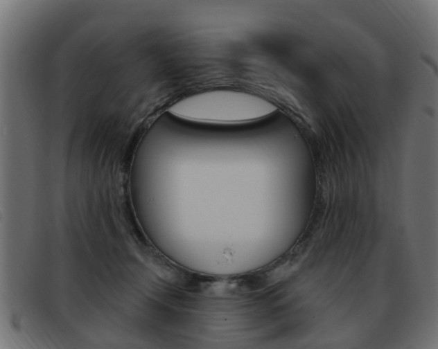 X0000093420366200710120901