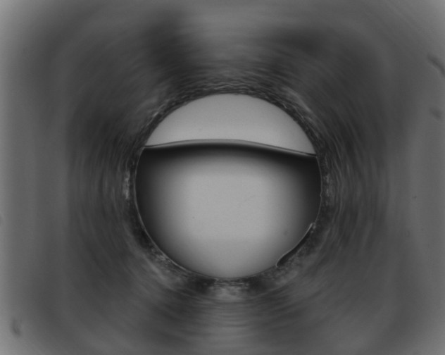 X0000093420368200710120901