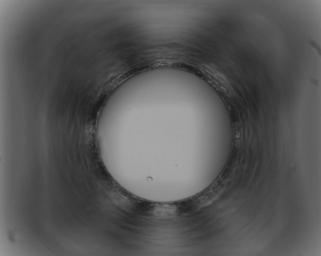 X0000093420369200710120901