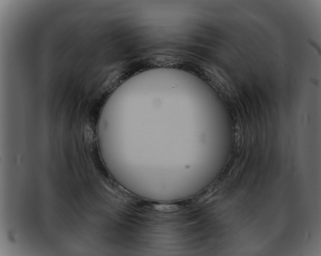 X0000093420371200710120901