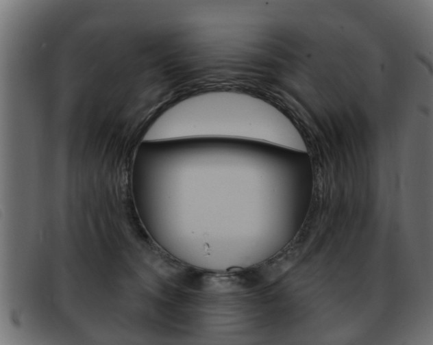 X0000093420372200710120902