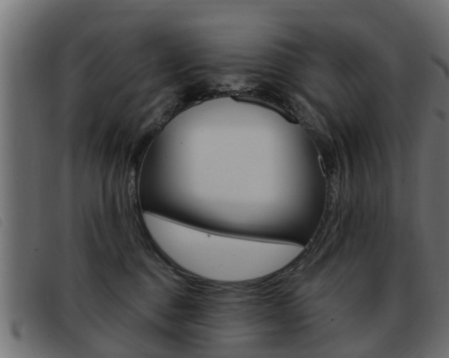 X0000093420376200710120902