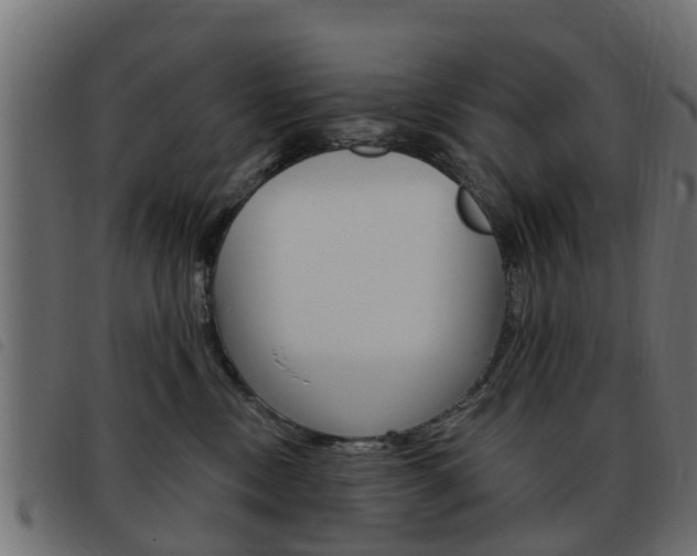 X0000093420378200710120902