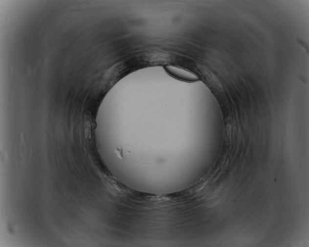 X0000093420379200710120902