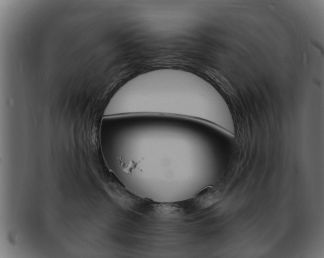 X0000093420380200710120902