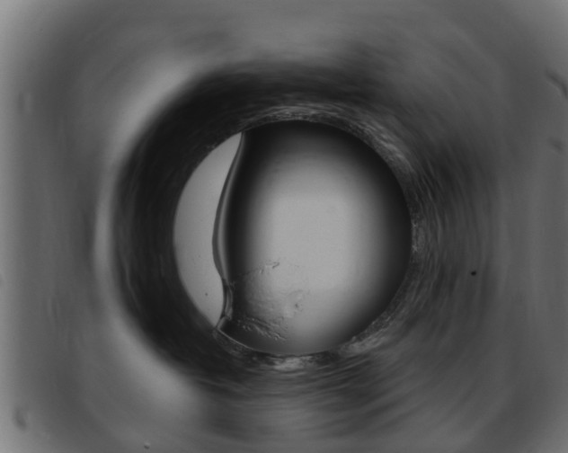X0000093420382200710120902