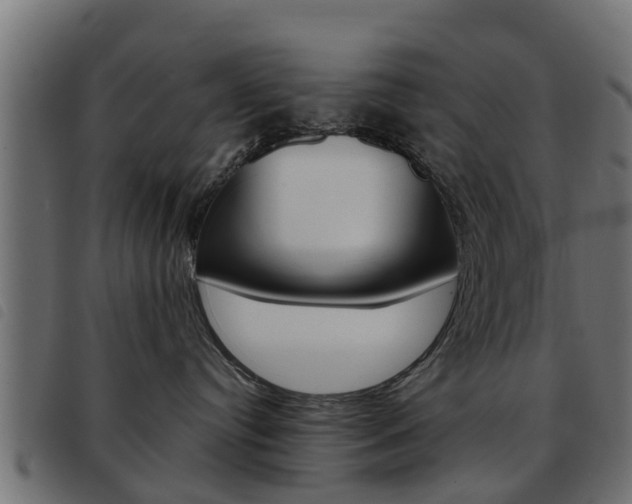 X0000093420384200710120902
